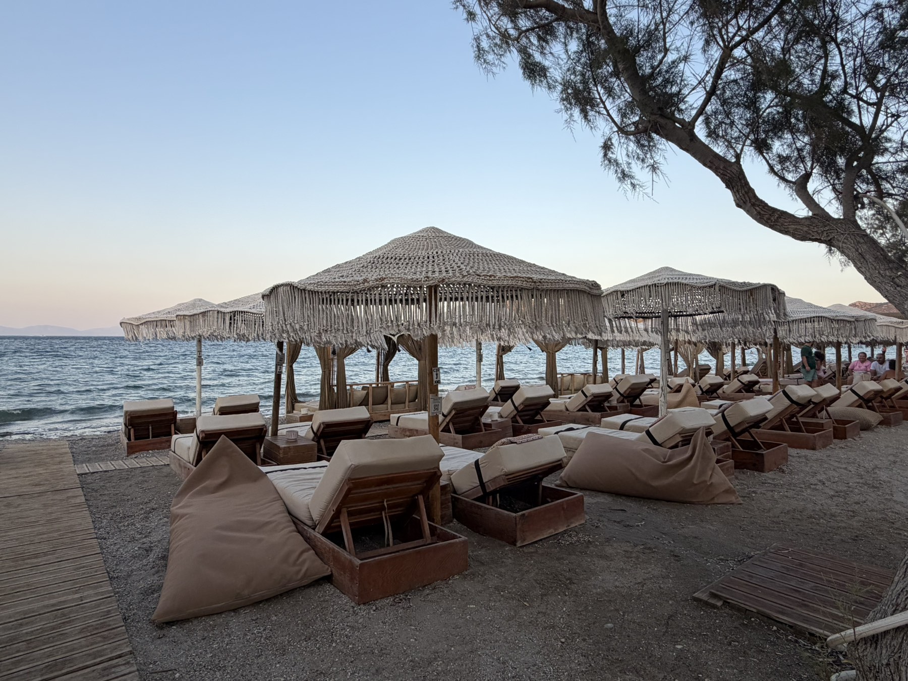 Ξαπλώστρες δίπλα στη θάλασσα στο beach bar JOJO στο Πόρτο Ράφτη